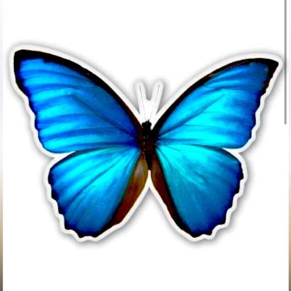 LIVE SHOW FLYER🌟@HIITNRUNNER 🐪 🧡 🩷 🩵 - Picture 4 of 16